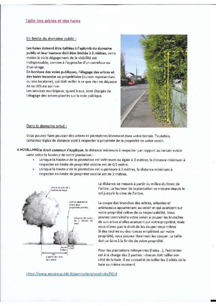 Entretien des haies - Novillard (90340)